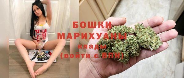 индика Баксан