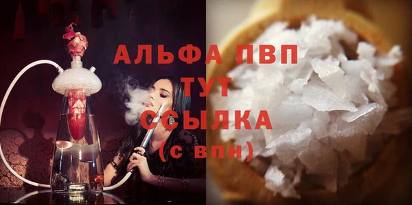 индика Баксан