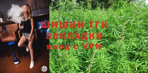 индика Баксан
