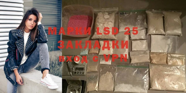 индика Баксан