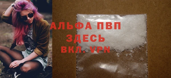 индика Баксан