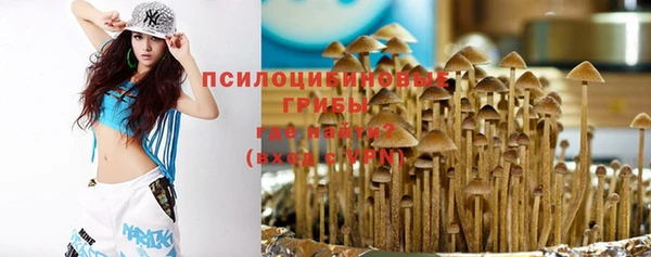 индика Баксан